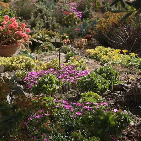 Borgo Rosso Di Sera - Country Chic 리조트 산 루시도