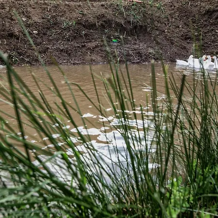 Borgo Rosso Di Sera - Country Chic 산 루시도