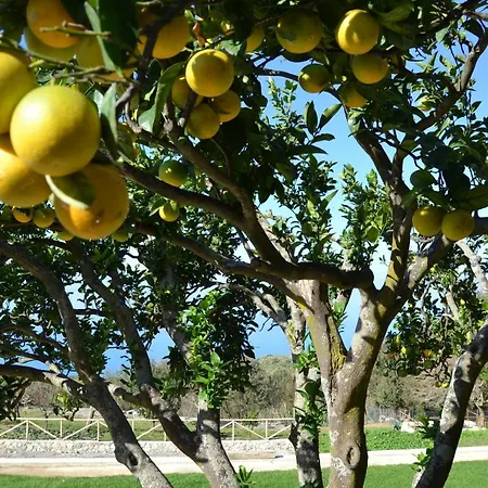 Borgo Rosso Di Sera - Country Chic 3* 산 루시도