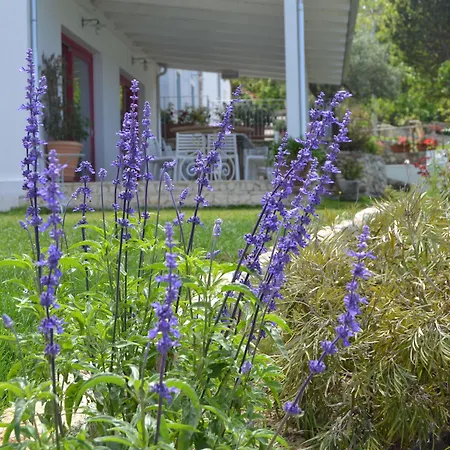 Borgo Rosso Di Sera - Country Chic 리조트 3*