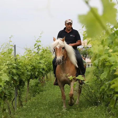 منتجع Borgo Rosso Di Sera - Country Chic 3*