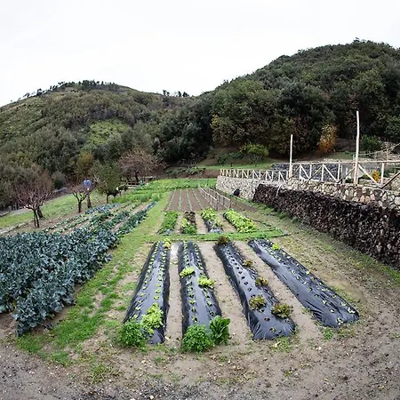 Borgo Rosso Di Sera - Country Chic 리조트 3*