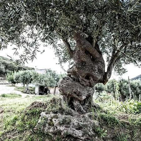 Borgo Rosso Di Sera - Country Chic 3* 산 루시도