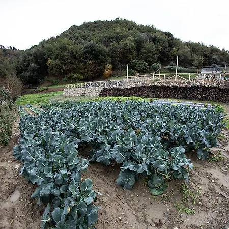 Borgo Rosso Di Sera - Country Chic 리조트