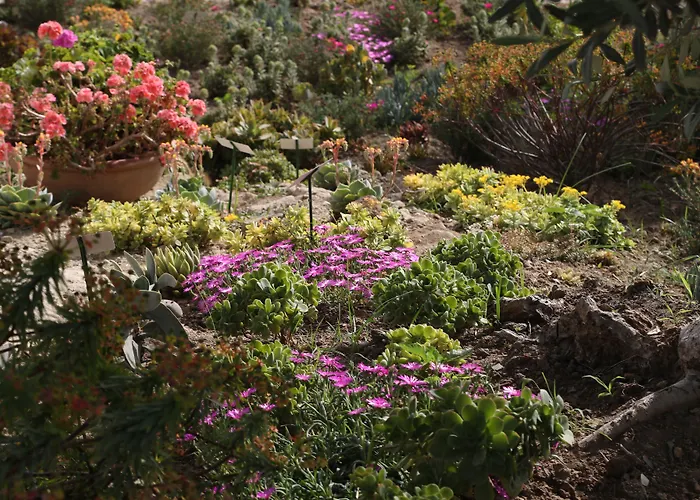 Borgo Rosso Di Sera - Country Chic 度假村 圣卢西铎