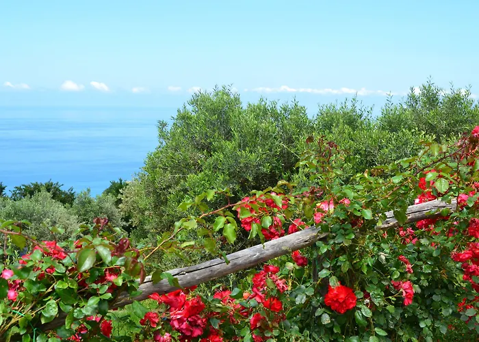 度假村 Borgo Rosso Di Sera - Country Chic 圣卢西铎