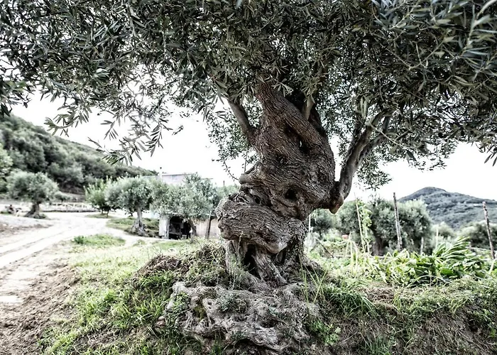 Borgo Rosso Di Sera - Country Chic 3* 圣卢西铎