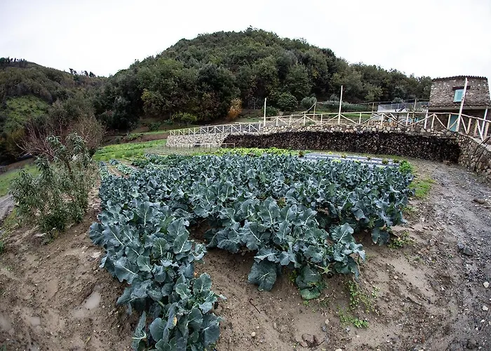 Borgo Rosso Di Sera - Country Chic 度假村